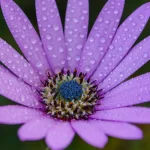 2022年のトレンドカラーは“パープル“!これから流行る?『パープルコーデ』についてTwitterの反応