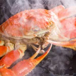 【なるほど確かに可哀そう】エビやカニ、イカ、タコを生きたままゆでることを禁止すべきか？ 政策決定SNS「Surfvote」での投票が2月28日〆切