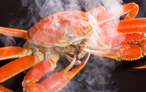 【なるほど確かに可哀そう】エビやカニ、イカ、タコを生きたままゆでることを禁止すべきか？ 政策決定SNS「Surfvote」での投票が2月28日〆切