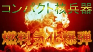 【非人道的行為』『核兵器の次に威力が大きい気化爆弾の使用』についてTwitterの反応