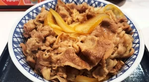 【謝罪」吉野家、『魁!!男塾』コラボキャンペーン炎上で謝罪　6万6000円相当の「オリジナル丼」、220日かけポイントためた客に後出しで条件変更