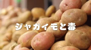 【要注意】野菜の異変に気付かず食べた女性が救急車で運ばれる事態に・・・