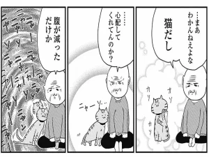 【漫画｢きみにかわれるまえに｣】『ネコを溺愛する飼い主が「妻の死」で悟った真実』についてTwitterの反応