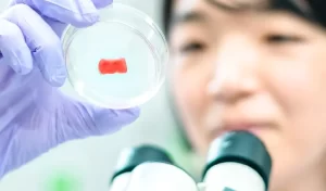 【日本初】日清食品、「食べられる培養肉」作成に成功