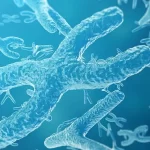 【宇宙育種】食卓に並ぶ野菜や果物は「宇宙の旅」をした種の子孫かも?―中国