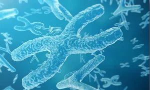 【宇宙育種】食卓に並ぶ野菜や果物は「宇宙の旅」をした種の子孫かも?―中国