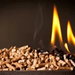 【バイオマス発電】カーボンニュートラルな発電方法?