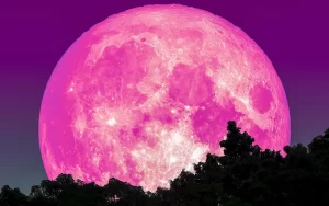 【17日午前3時55分】『4月の満月は「ピンクムーン」』について