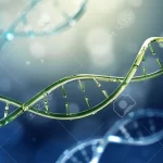 【ヒトゲノム完全配列決定に成功】『老化や自閉症などの解明に期待』について
