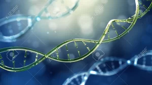 【ヒトゲノム完全配列決定に成功】『老化や自閉症などの解明に期待』について