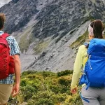 『コロナ後も定着か オンライン観光の意外なメリット』についてTwitterの反応