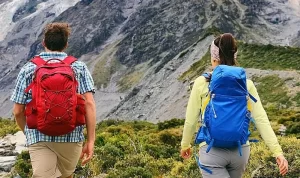 『コロナ後も定着か　オンライン観光の意外なメリット』についてTwitterの反応