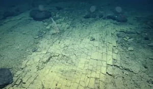 【探査船ノーチラス号】アトランティスへと続く道？太平洋の海底で謎の石畳を発見