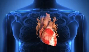 【心アミロイドーシス】『元楽天監督の田尾安志氏、難病・心アミロイドーシスと公表「すごい前向き」』についてTwitterの反応