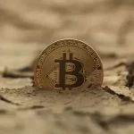 『「ビットコインは死んだ」のグーグル検索が過去最高を記録』についてTwitterの反応