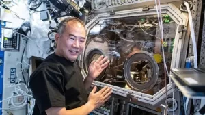 【JAXA】『宇宙飛行士の試験、205人通過』についてTwitterの反応