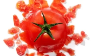 『トマトに迫る気候変動、米国の一大産地が窮地に』についてTwitterの反応