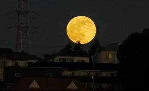 【2022年7月】『2022年 地球から最も近い満月』についてTwitterの反応