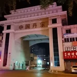 【新種？】『中朝国境で変異ウイルス確認』についてTwitterの反応