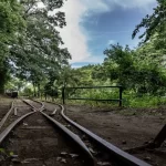 【5人か1人か、どちらを救う?】『自動運転車が直面する「トロッコ問題」』についてTwitterの反応