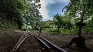 【5人か1人か、どちらを救う？】『自動運転車が直面する「トロッコ問題」』についてTwitterの反応