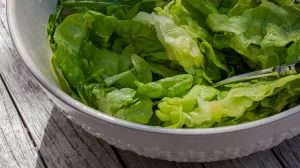 【一時1玉10円 なぜ今レタス安い?】『“1玉58円”いまレタスが安いワケ…暑さと大雨 農家は喜べない状況』についてTwitterの反応