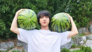 【BTS・ジン】『顔の両サイドで大きなスイカ抱え「ジンくんの顔」がトレンド入り』についてTwitterの反応