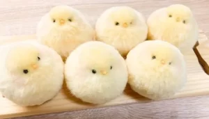 【もふっ…ふわふわ】『箱詰めひよこ、SNSで3万人が思わず悶絶「大きく育ちますか?」「かわいいいいいい」』についてTwitterの反応