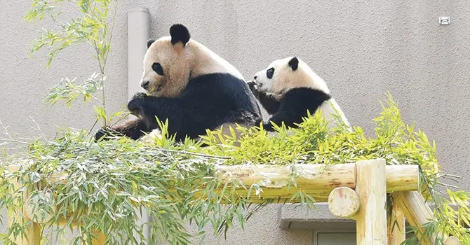 【アドベンチャーワールド】『総合満足度で和歌山県が1位 21年度の国内宿泊旅行者調査』についてTwitterの反応