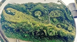 【まさか異世界への入口?】『ベコベコに凹んだカーブミラーの写真がヒェッとなる』についてTwitterの反応