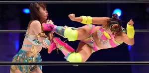 【賛否呼んだフワちゃんに絶賛続出！】『行列のできる相談所』女子プロレスデビューについてTwitterの反応