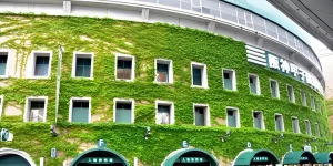 【言い出せなかった誤審】『球史に残る「大炎上」試合、審判が初めて告白…「１０年間ずっと謝りたかった」』についてTwitterの反応