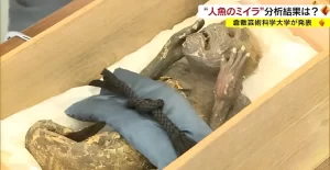 『「人魚のミイラ」は妖怪ではなく造形物　最新技術で分析…研究チーム発表』についてTwitterの反応