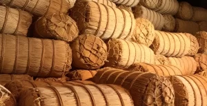 『国民負担率47.5%で「五公五民」がトレンド入り「日本中で一揆が」「江戸時代とどっちがマシ」の声』についてTwitterの反応