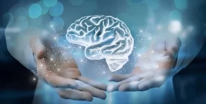 『未来のコンピューターは人間の脳細胞で動くようになるかもしれない』についてニコニコニュースコメントまとめ