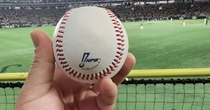 『山田哲人のホームランボールを少年から“横取り”中継に映った男性大炎上「もう燕ファン辞めろ！」』についてTwitterの反応