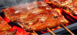 【土用の丑の日】「養殖だからOK」と思っていたうなぎ、実は大きな誤解が?絶滅危惧種のうなぎを食べて良いのは本当?その真相に迫る!