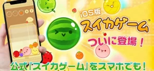 【スイカゲーム-Aladdin X】iPhone版「スイカゲーム」Switch版との違いは！