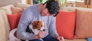 【ぬいぐるみガンダー】大谷翔平お持ち帰りのぬいぐるみどこで買える?