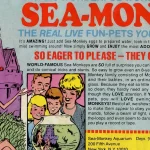 【シーモンキー復活】シーモンキーの名前の由来は？正体はアルテミア！