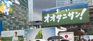 【オオタニサン効果？】「お～いお茶」売上を急増させた理由とその背景！