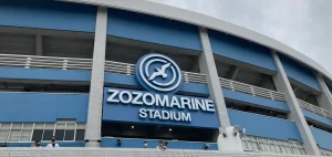 【ZOZOマリン】ロッテファン同士の衝突事件とは?なぜ勝ったのに?勝利の影に潜む悲劇!