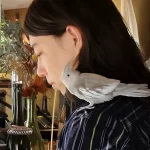 佐々木希とトラブルになったジュエリー職人とは誰？その店舗は？宮澤紀充氏と『Racconto』の真実