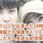 BTSのジンが出演した24時間テレビ!韓国での保護犬トリミングを見逃した方へ見逃し配信情報!