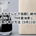 【ほんわかテレビで話題】絶対に液だれしない!『THE醤油差し』の魅力とお取り寄せ方法【9月13日放送】