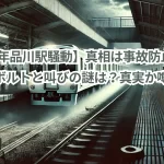 【2008年品川駅騒動】真相は事故防止?アンカーボルトと叫びの謎は?真実か噂か?