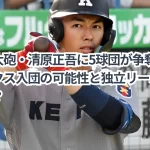 清原正吾に独立リーグ5球団が争奪戦!独立リーグ入団の可能性は?独立リーグの魅力とは?