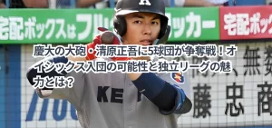 清原正吾に独立リーグ5球団が争奪戦!独立リーグ入団の可能性は?独立リーグの魅力とは?