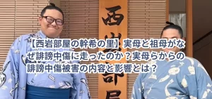 【西岩部屋の幹希の里】実母と祖母がなぜ誹謗中傷に走ったのか?実母らからの誹謗中傷被害の内容と影響とは?