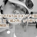 キンプリのTikTokコメントで話題の「たけやん」と「城之内」って何?その意味を徹底解説!